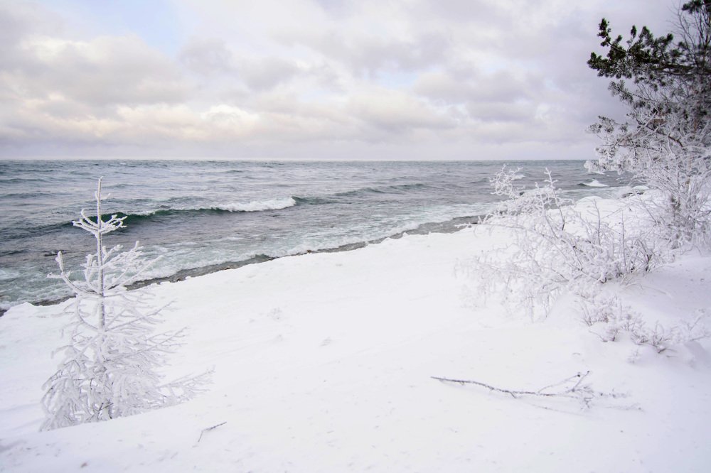 Photograph by Елена Вторушина