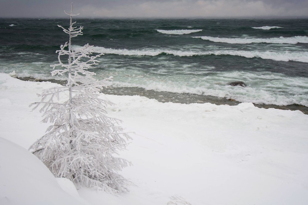 Photograph by Елена Вторушина