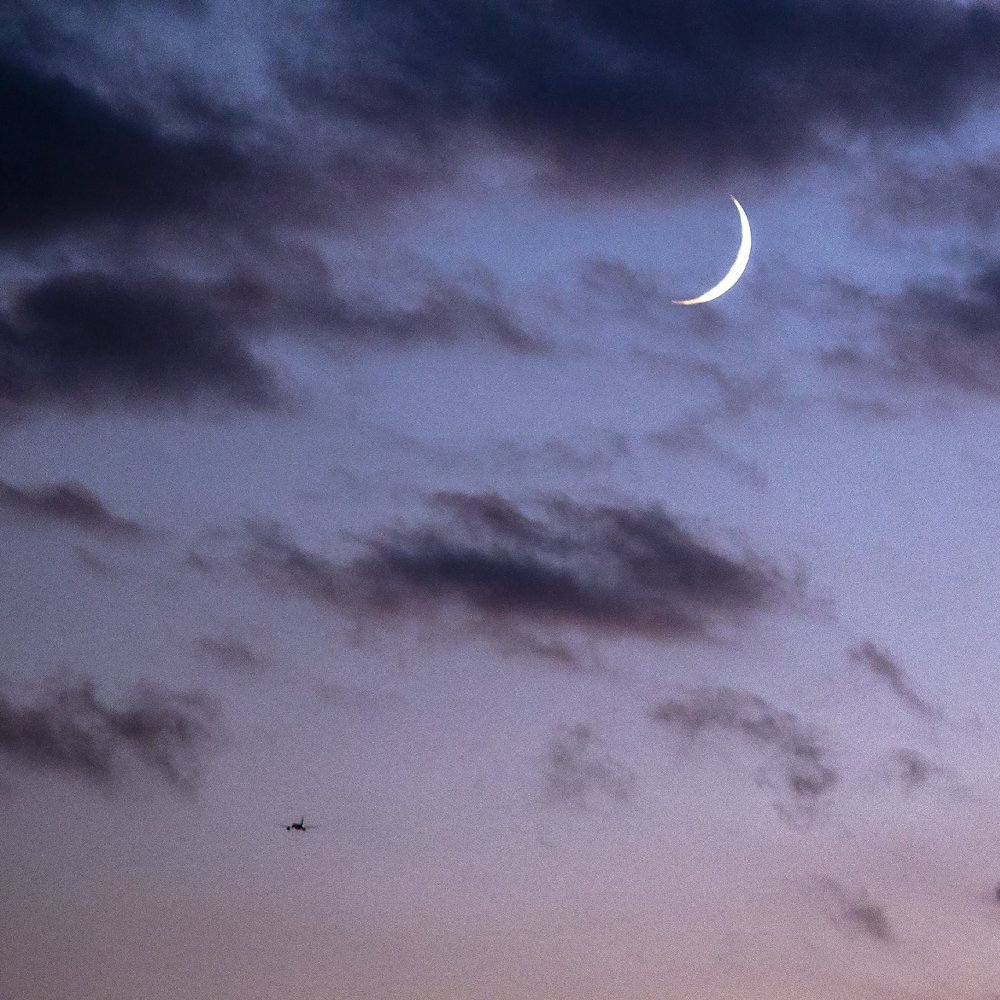 Фотография автора Андрей Логвинович