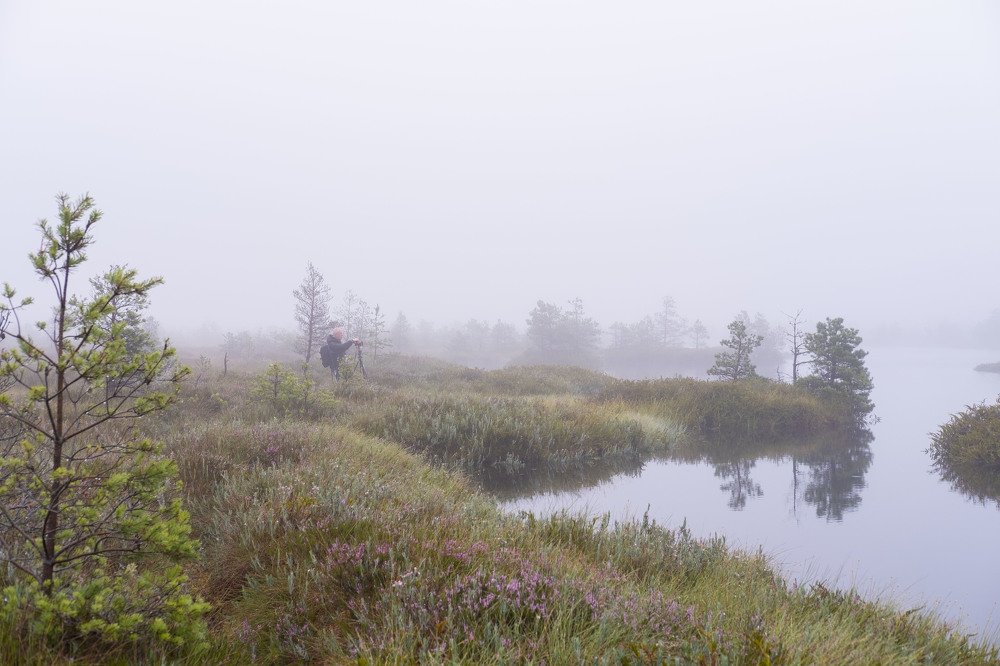 Photograph by Ирина Баранова