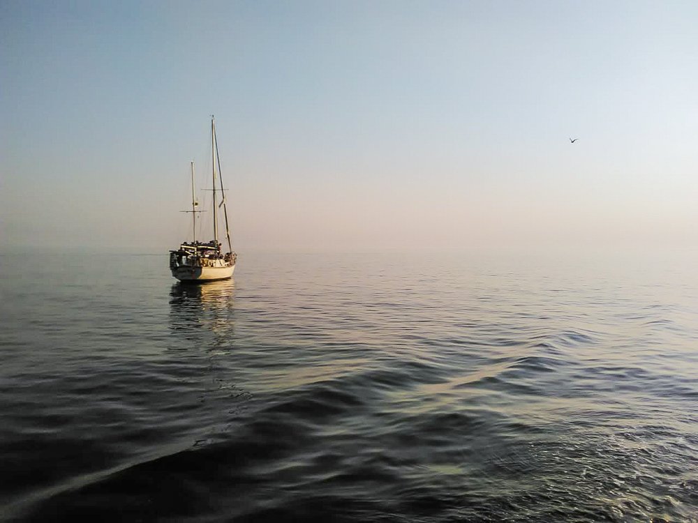 Photograph by Наталья