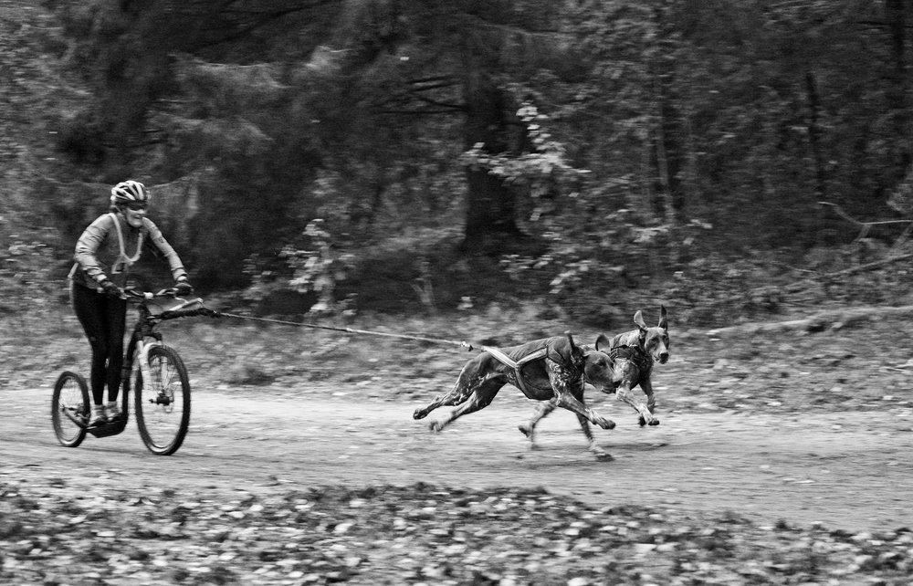 На скорости.