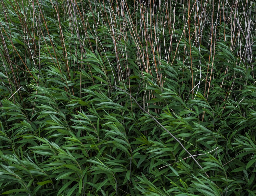 Фотография автора Ольга Горбунова