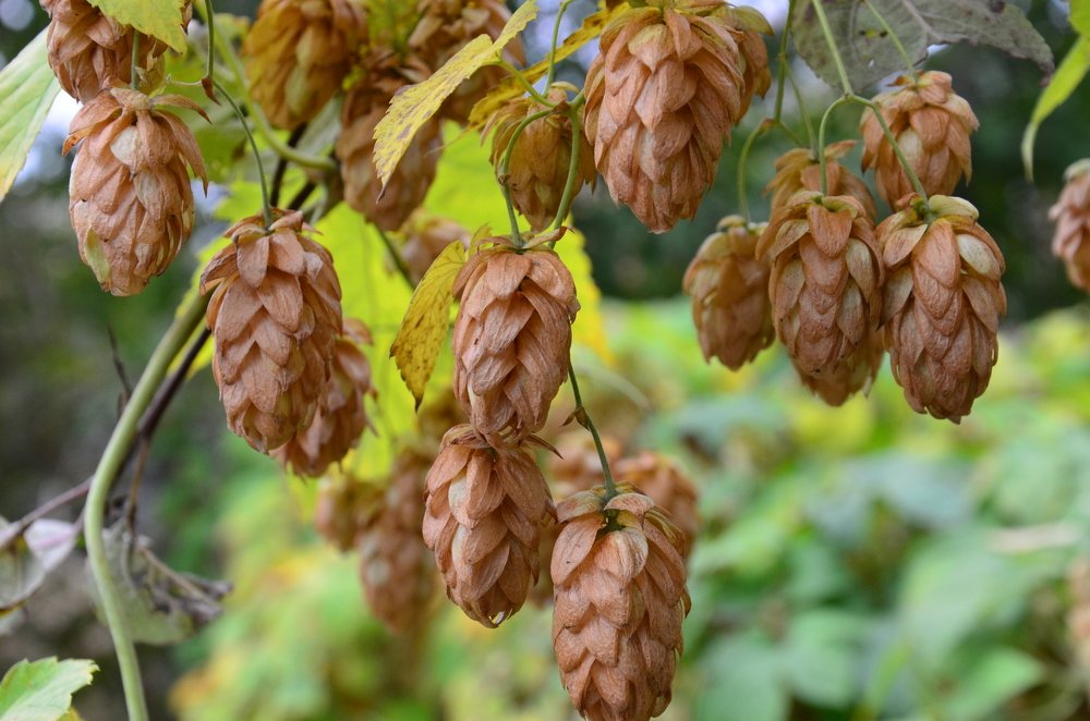 Photograph by Kusakin  Vladimir