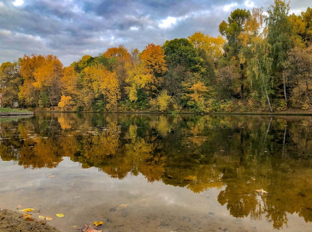 Осенние краски