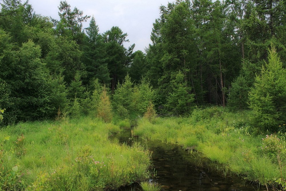 Photograph by Евгений Шульга