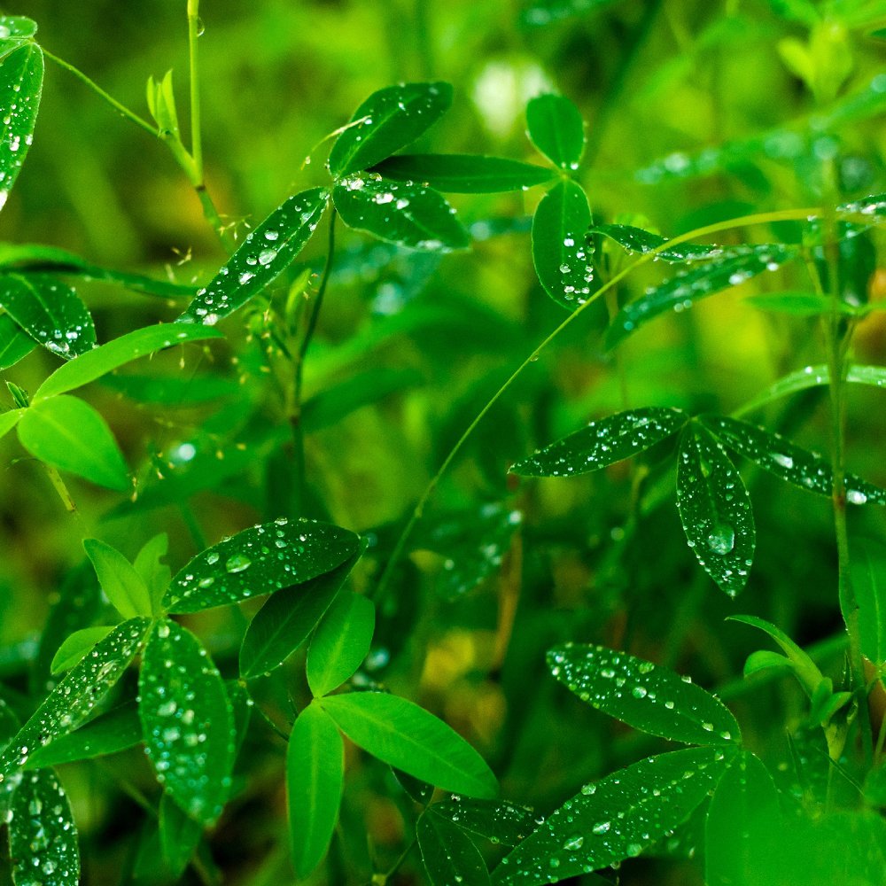 Фотография автора Панагушин Сергей