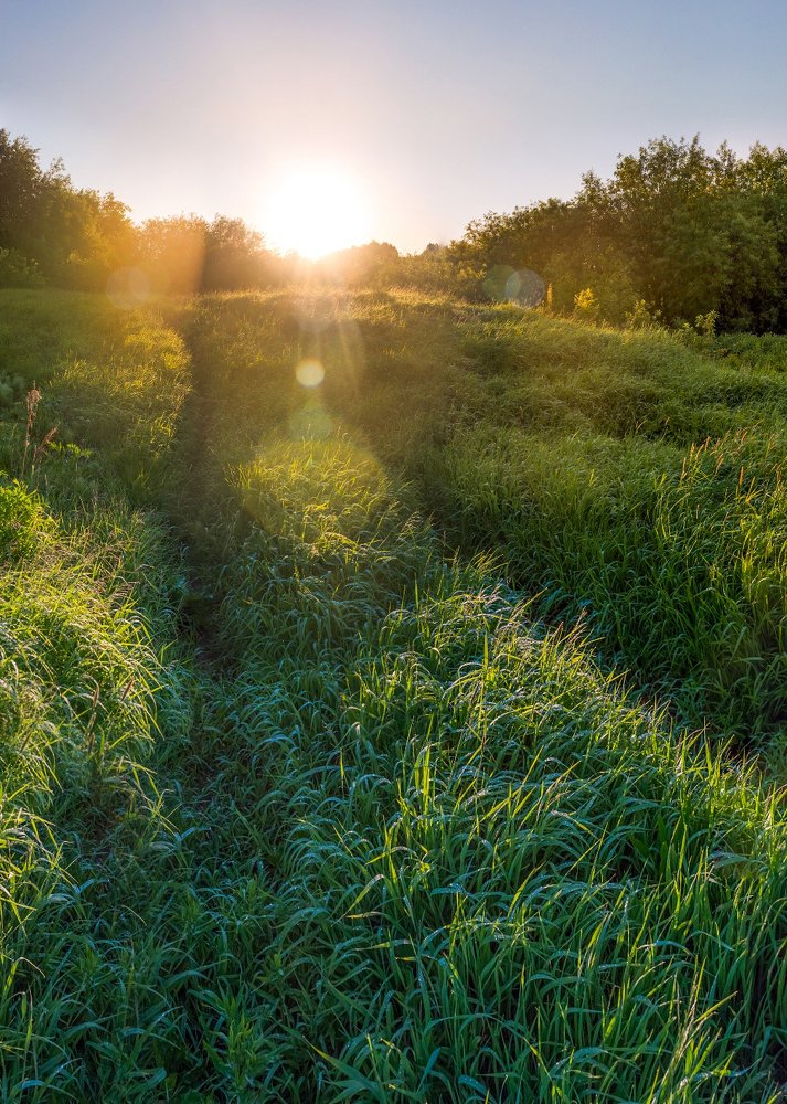 Фотография автора Панагушин Сергей