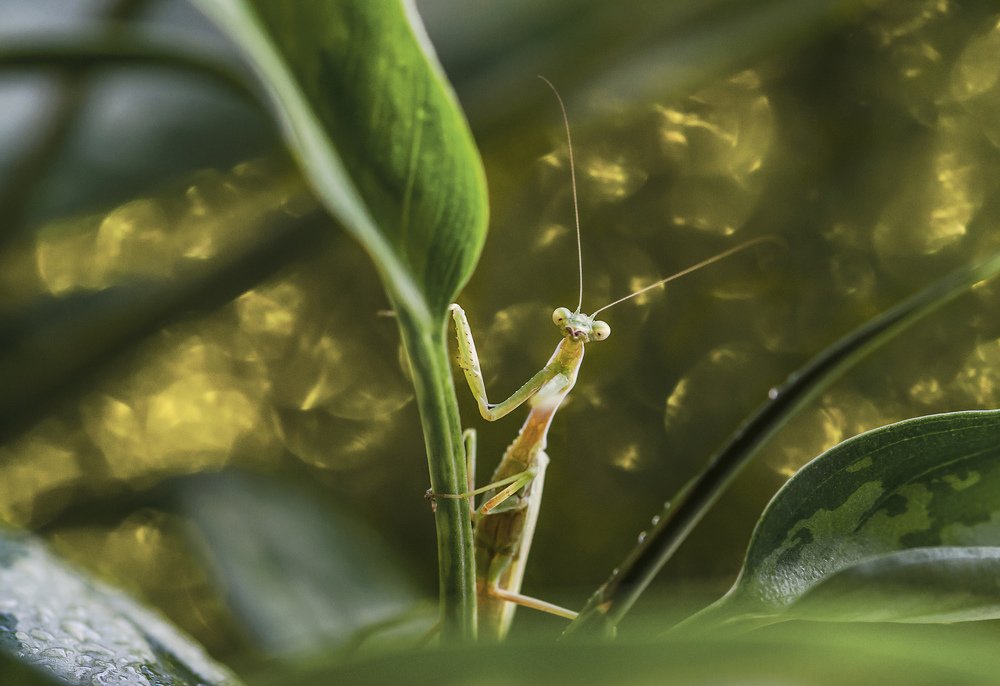 Photograph by Violeta Pas