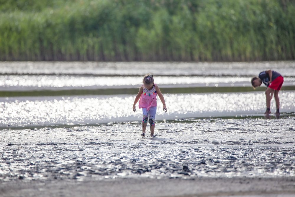 Photograph by Николай Ковтун
