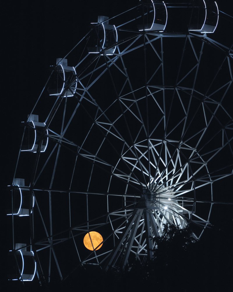 Луна в паутине