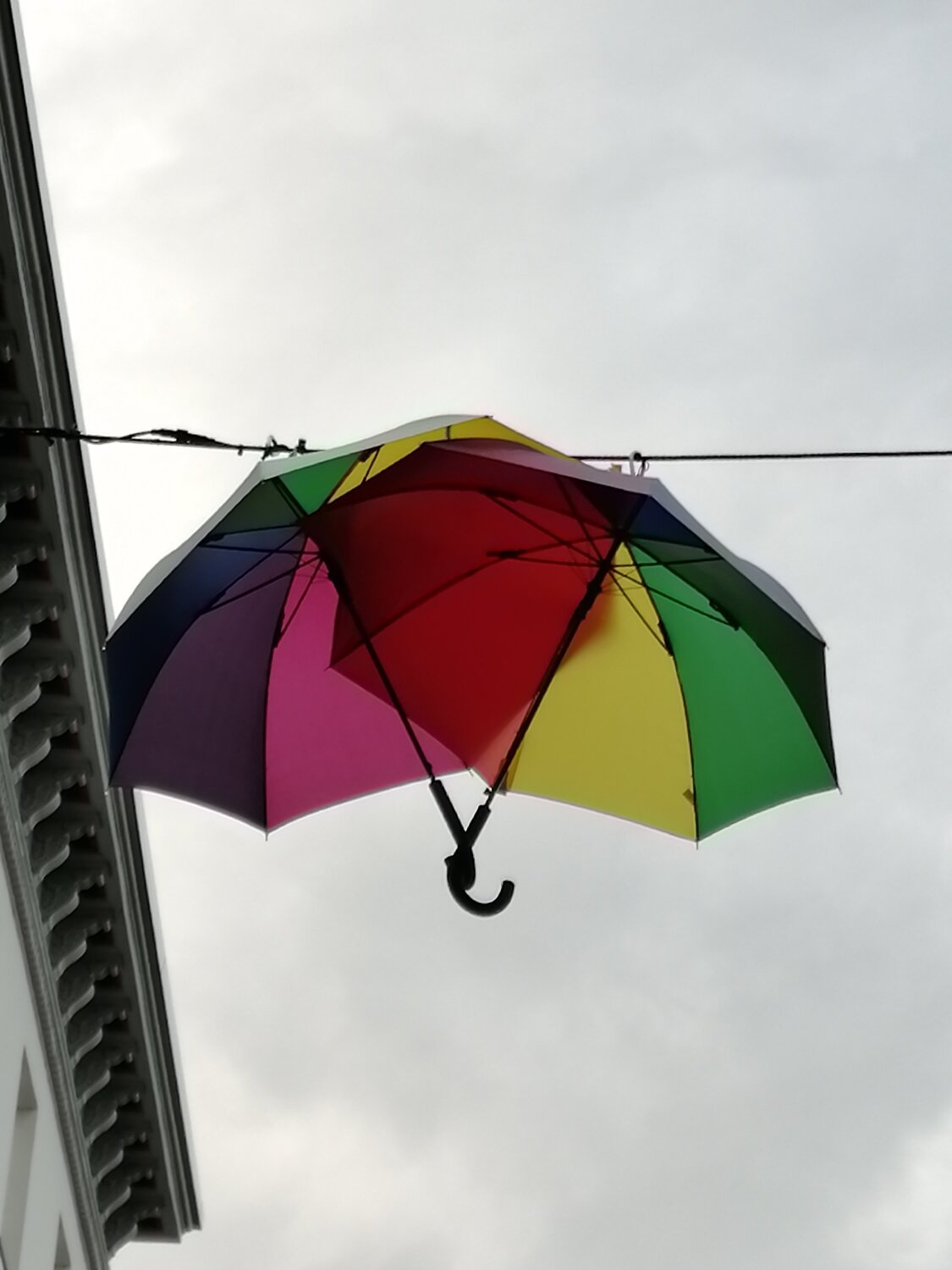 Love is Love.
