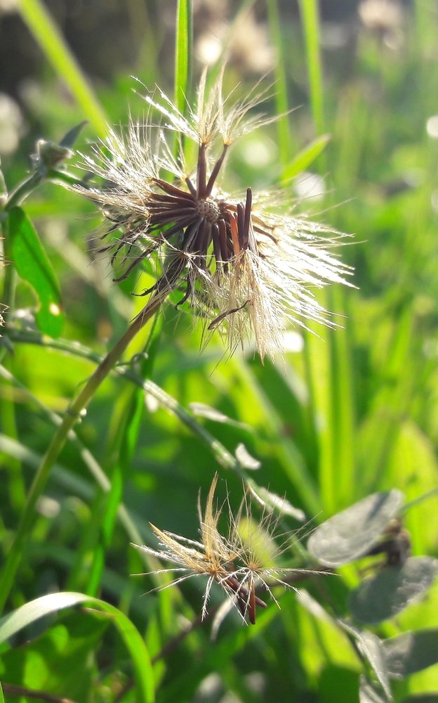 Photograph by Ирина Иванникова