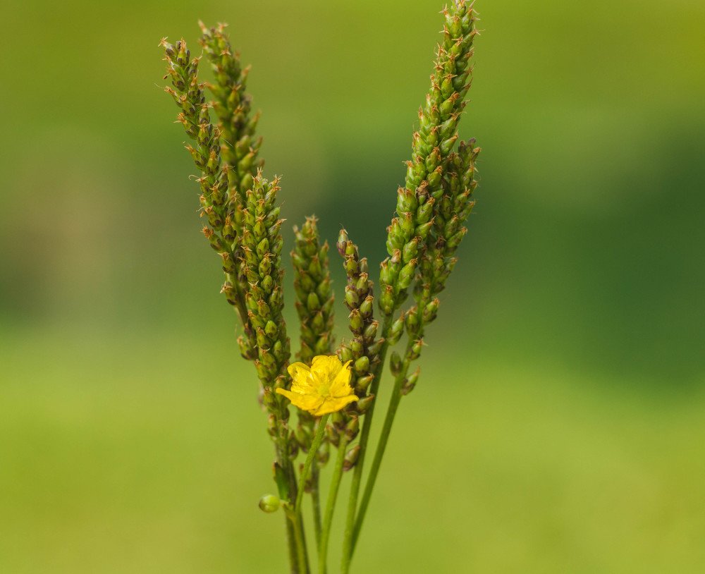 Photograph by Наталья Мещерякова