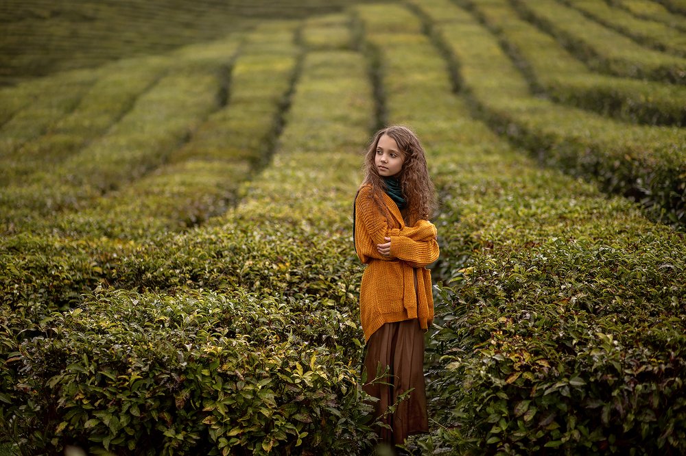 Photograph by Сидорова Ирина