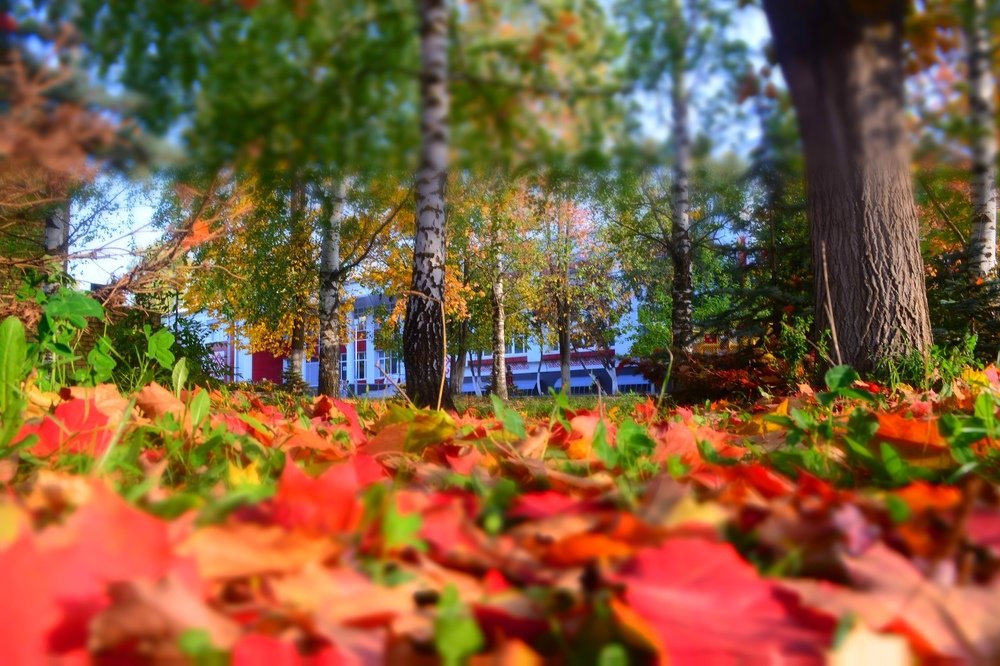 Photograph by Ксения Лебедева