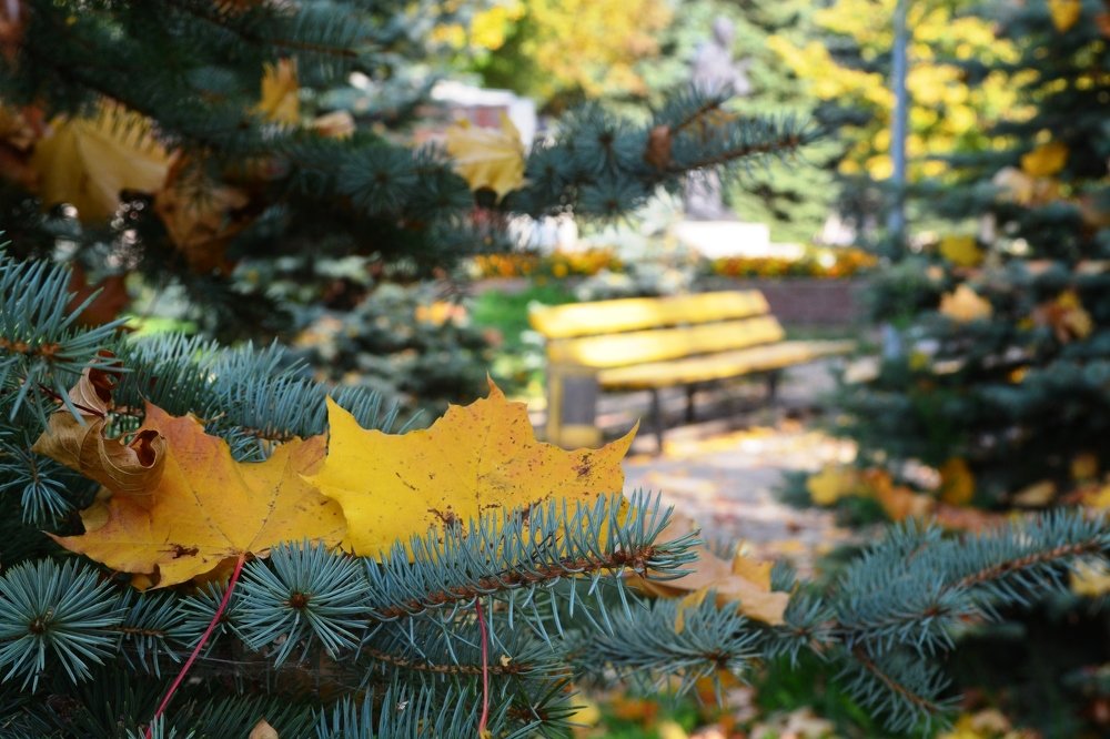 Photograph by Ксения Лебедева