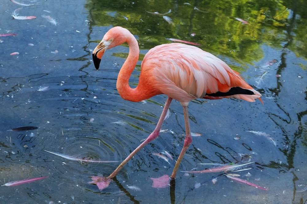 Photograph by Alimjanov Kakhramon