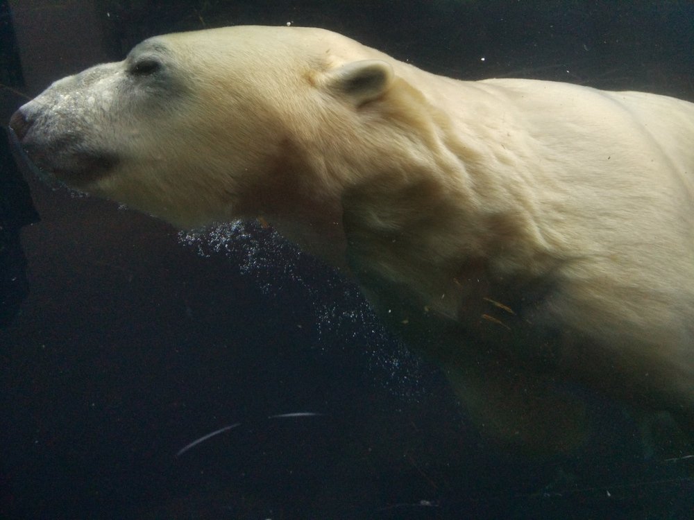 Photograph by Екатерина Харитонова