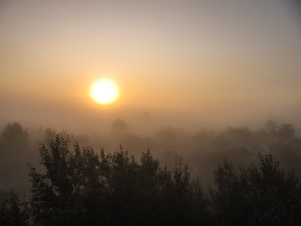 Photograph by Андрей