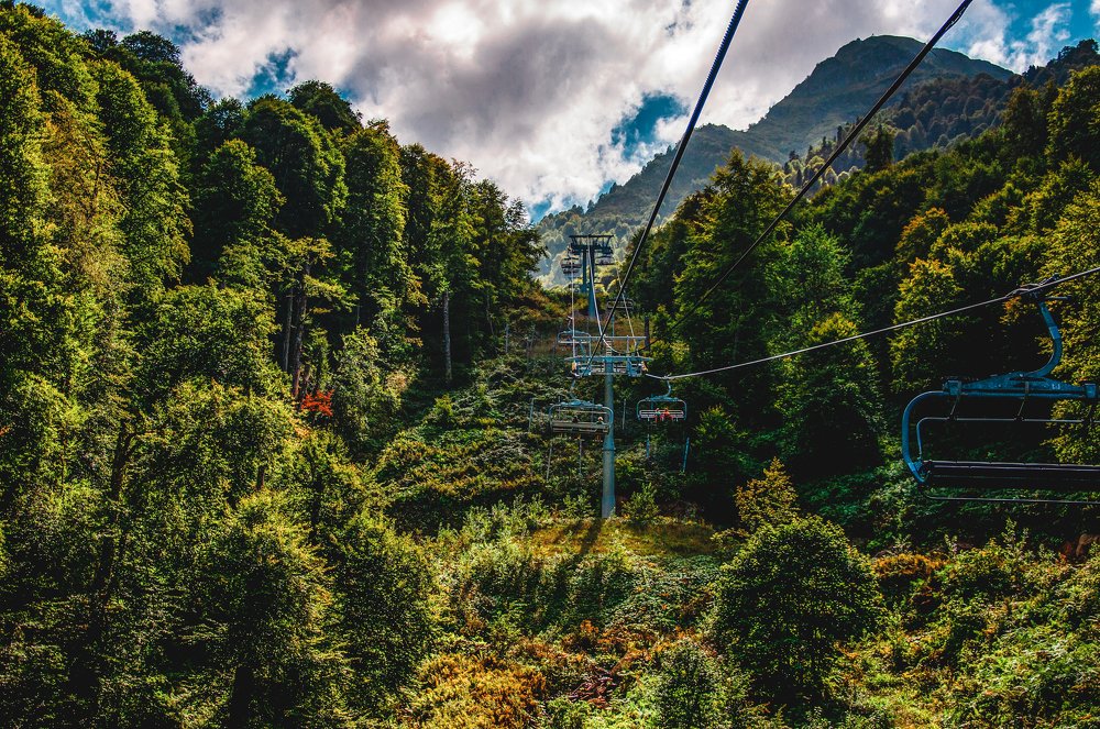 Photograph by Виталий Каргопольцев