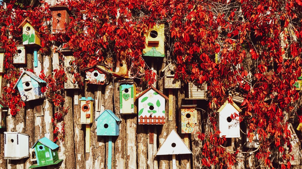 Photograph by Артём Горбань