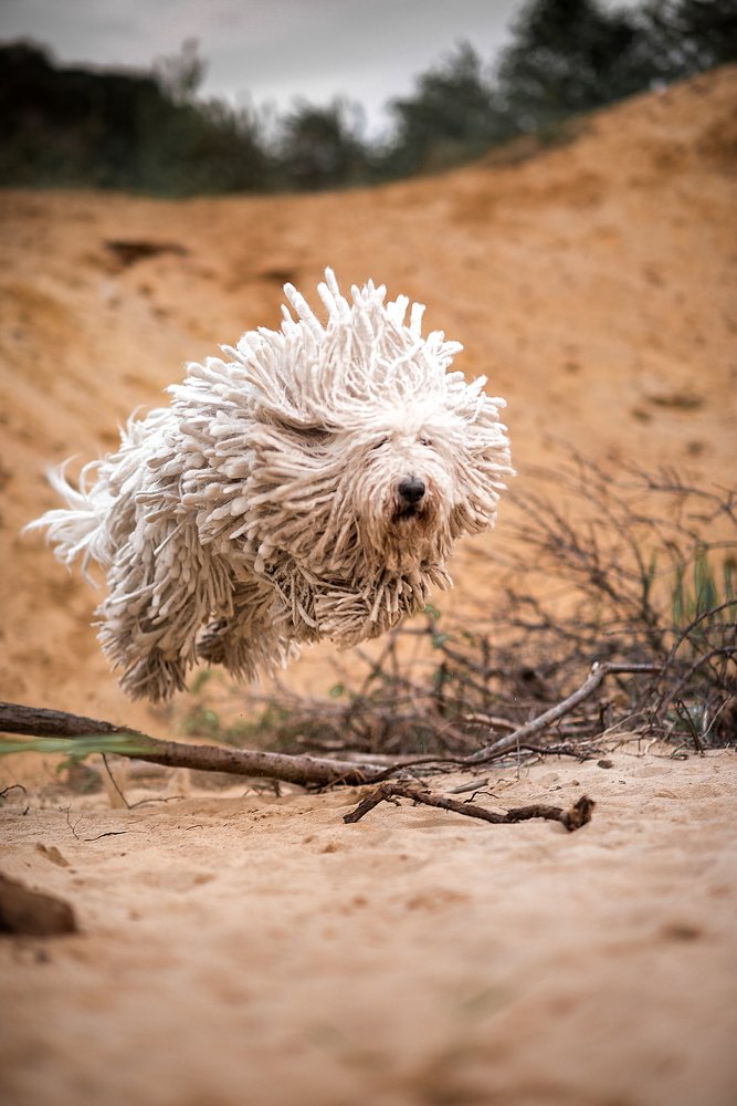 Photograph by Наталья Лапето