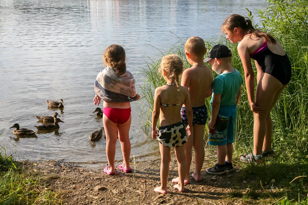 Photograph by Ива Костева