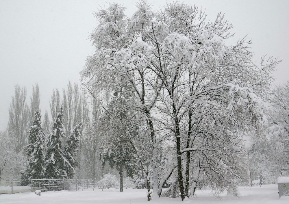 Photograph by Михаил Обертаев