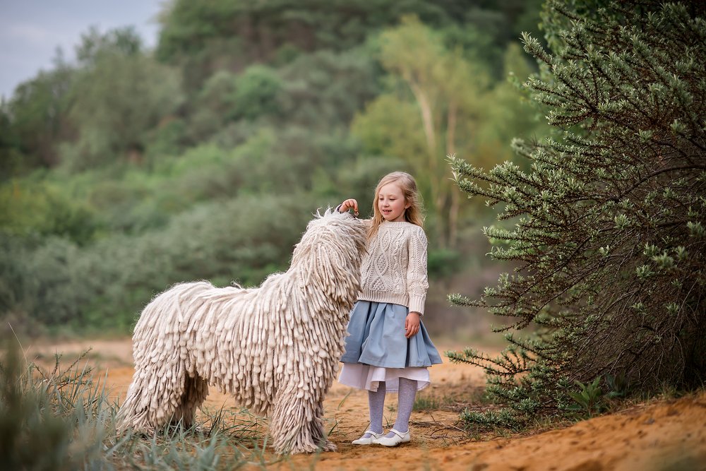 Photograph by Наталья Лапето