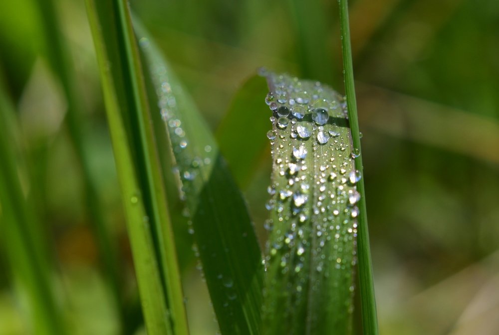 Photograph by Наталья Королева