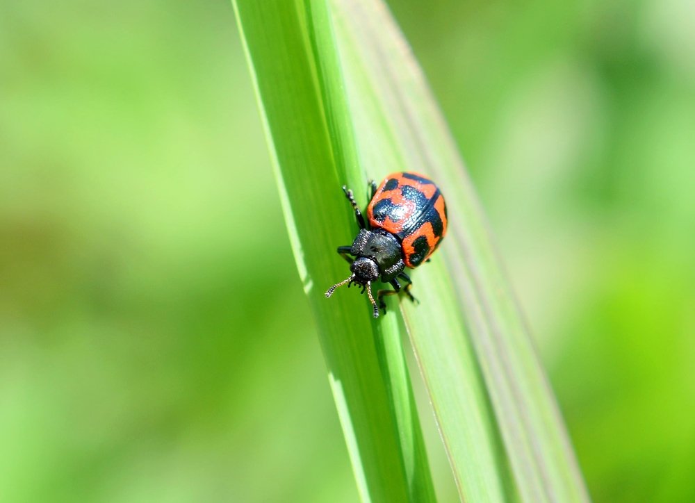 Photograph by Наталья Королева