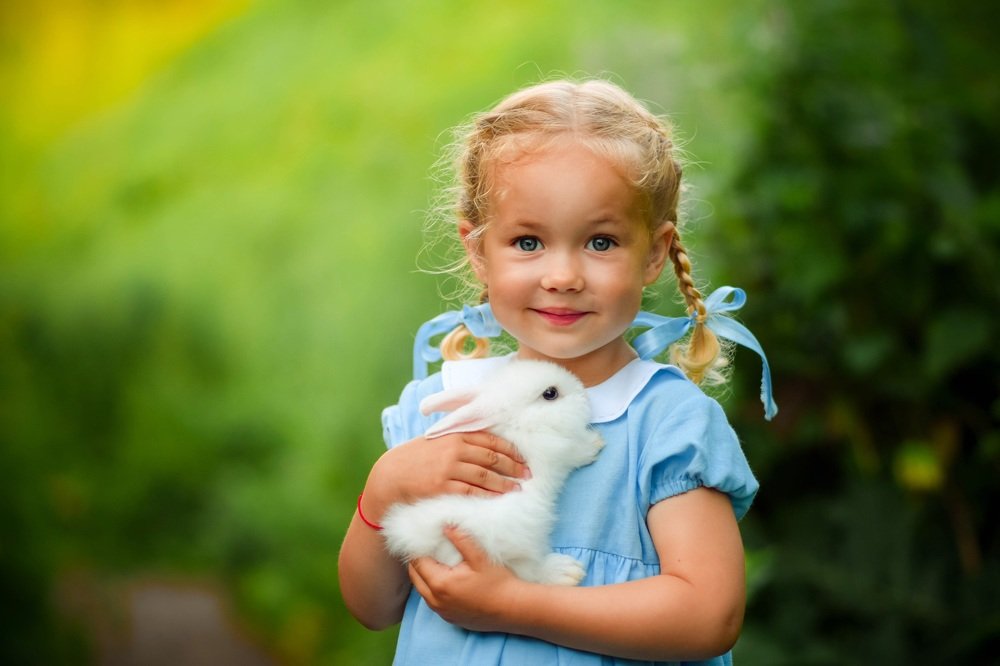 Алиса в стране чудес