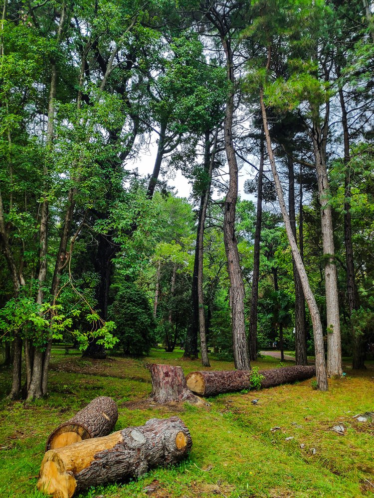 Photograph by Евгений Симион