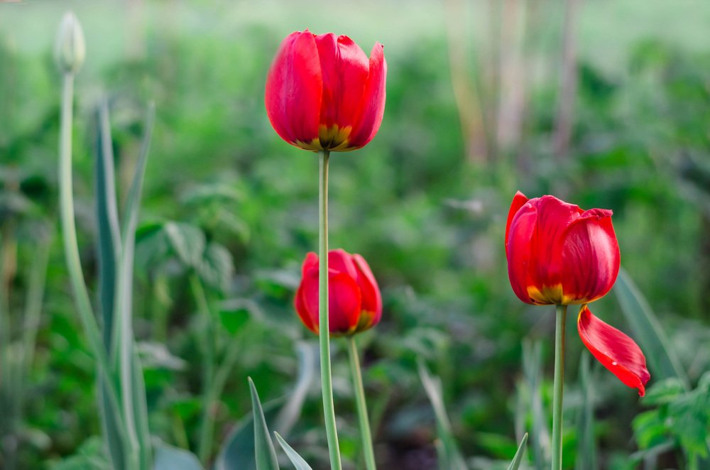 Photograph by Марина Анчукова