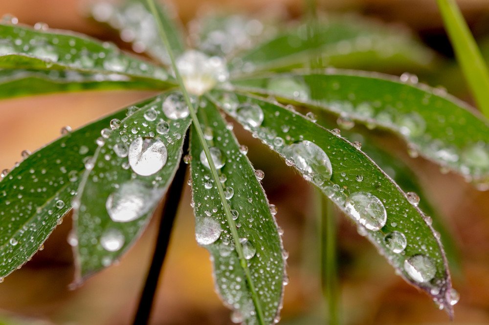 Photograph by Екатерина