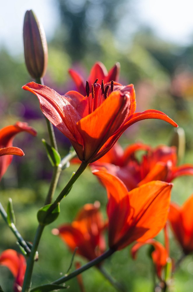 Photograph by Марина Анчукова