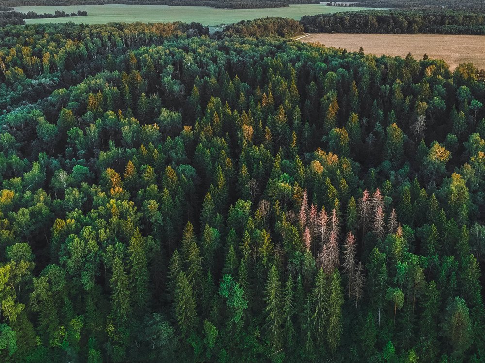 Photograph by Светлана Воскресенская