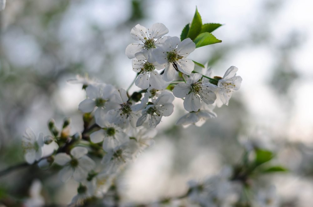 Photograph by Марина Анчукова