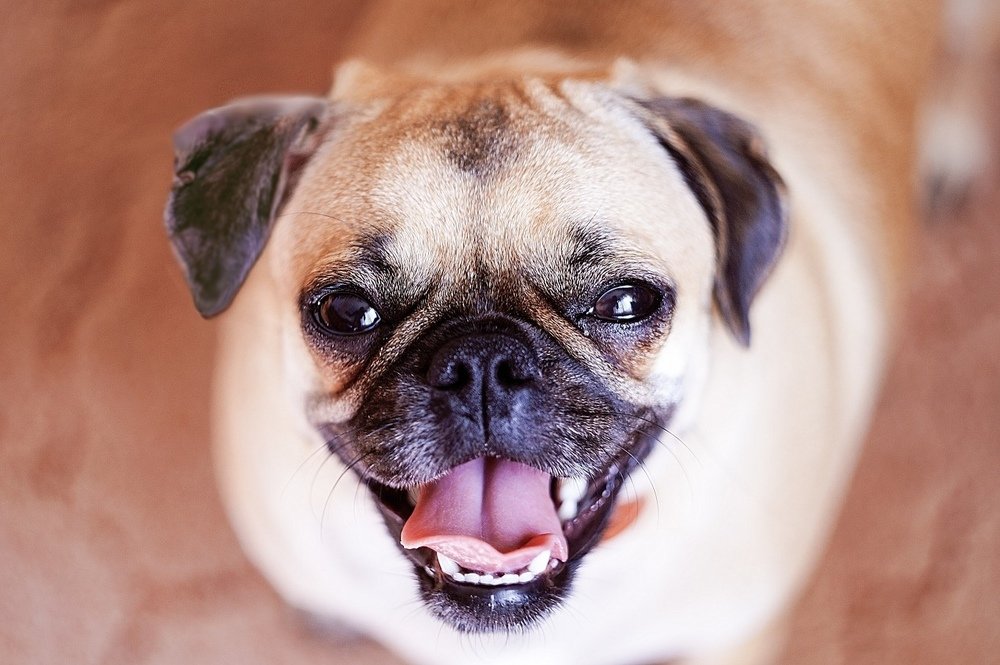 Радость в глазах