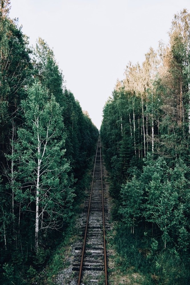 Photograph by Марина Забабурина