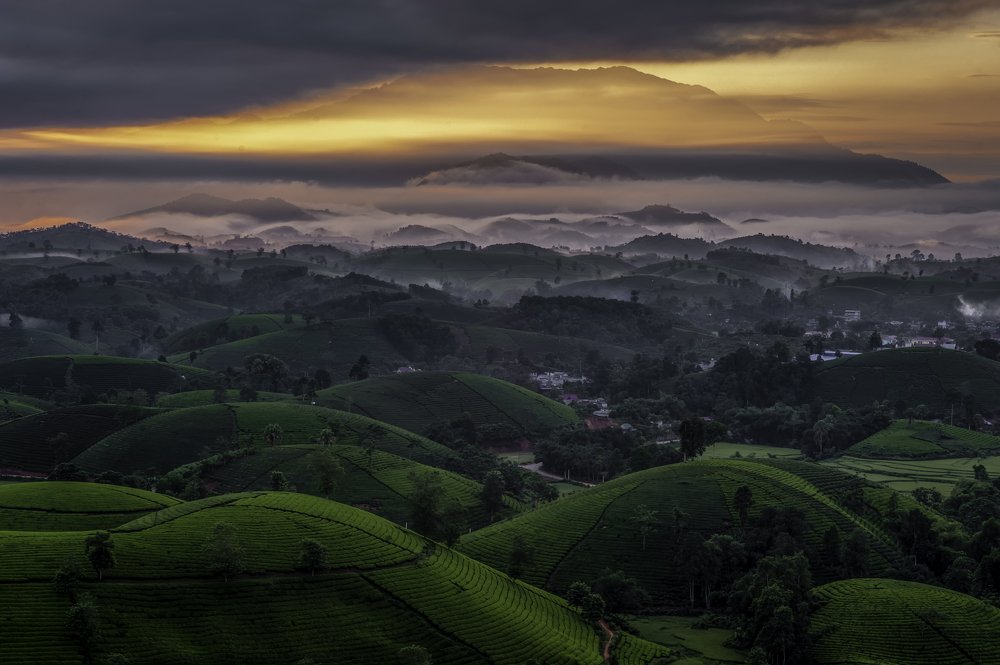 Photograph by Hoàng Hiếu