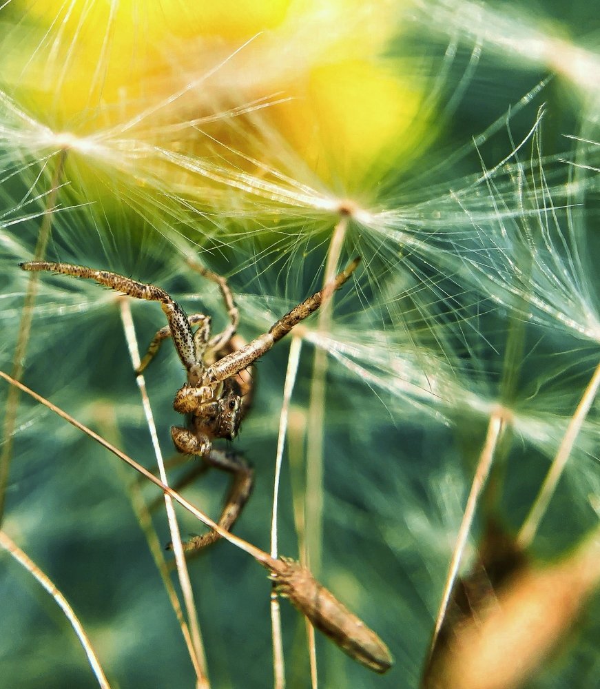Photograph by Вероника Денисова