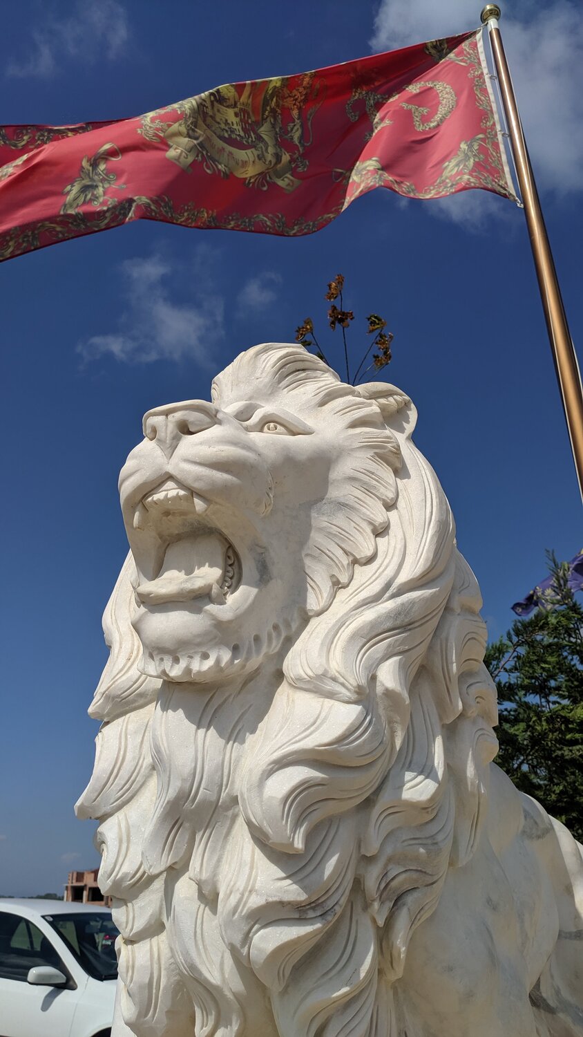 Photo #3712754