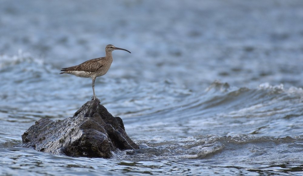 Photograph by gana sounder