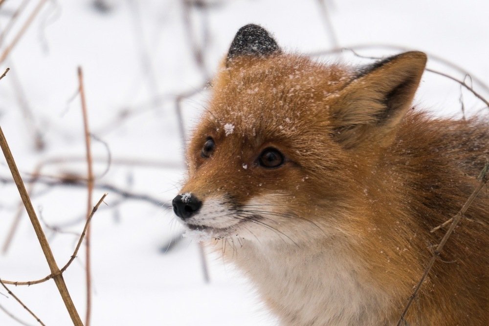 Photograph by Татьяна Рутковская