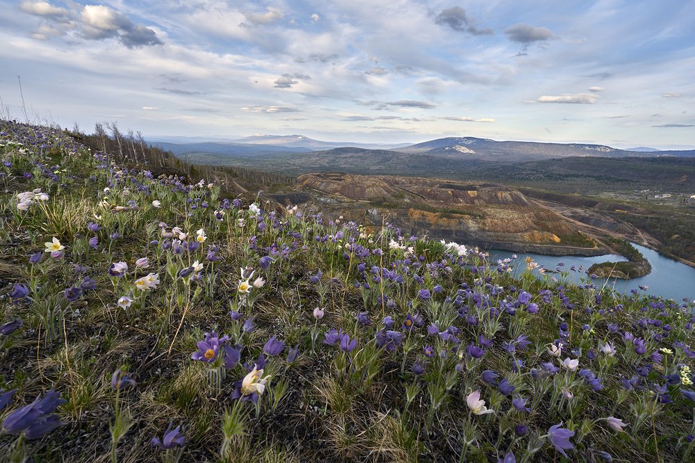 Photograph by Пономарев Андрей