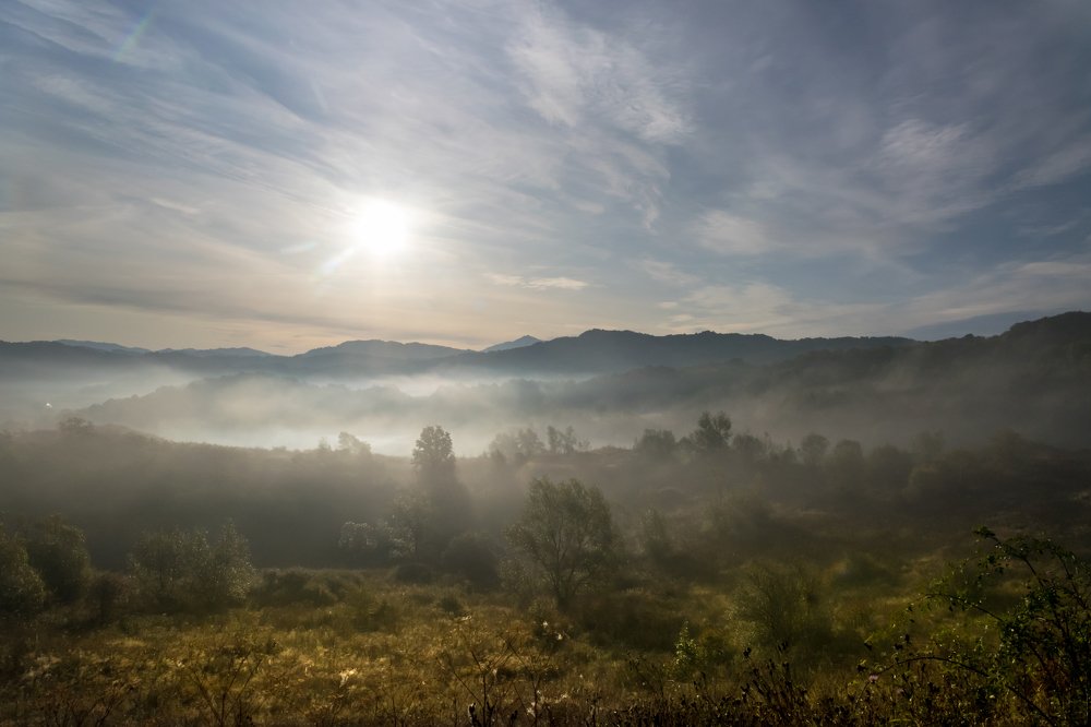 Photograph by Mariana Ioan