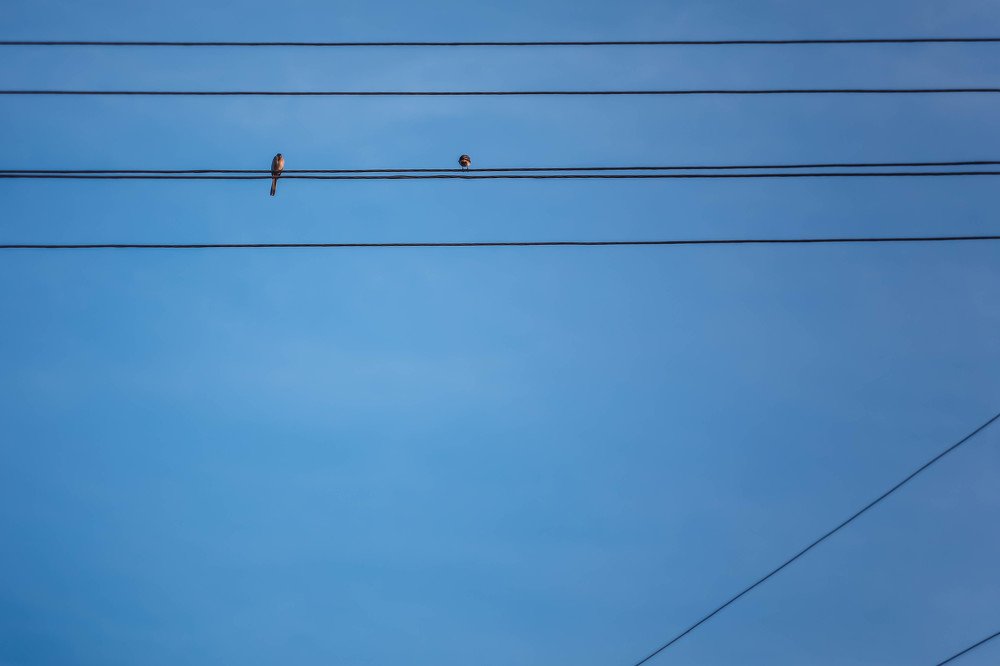 Photograph by Светлана Воскресенская