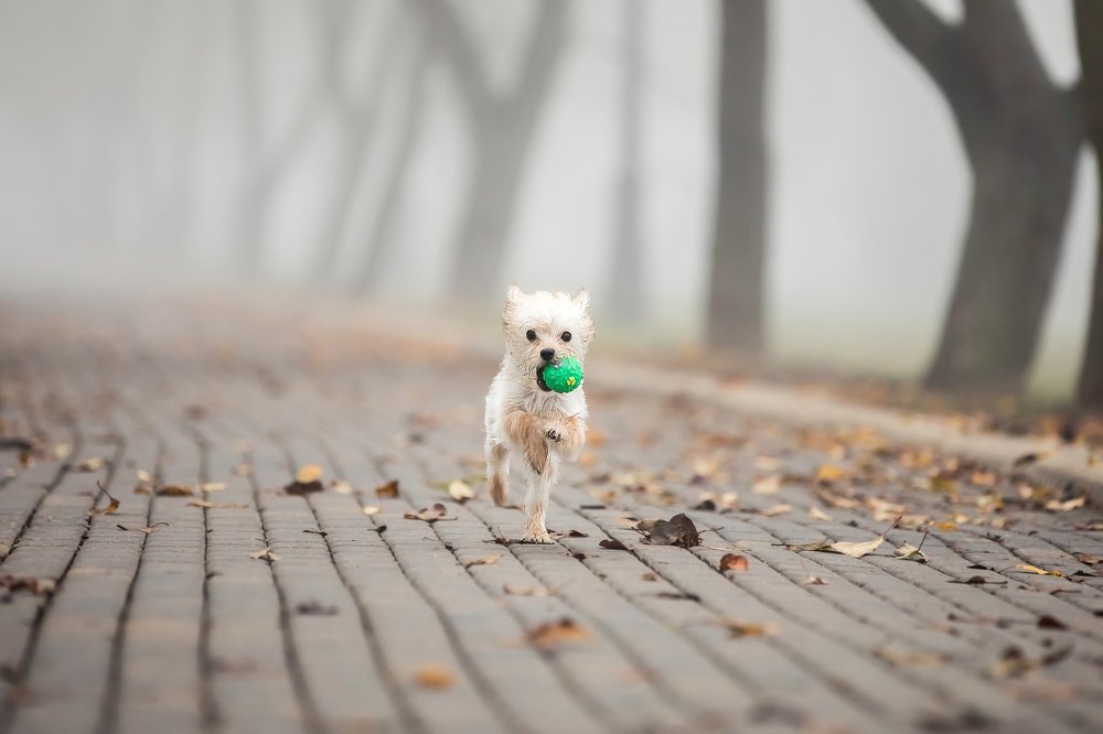 Photograph by Владислава Протащик